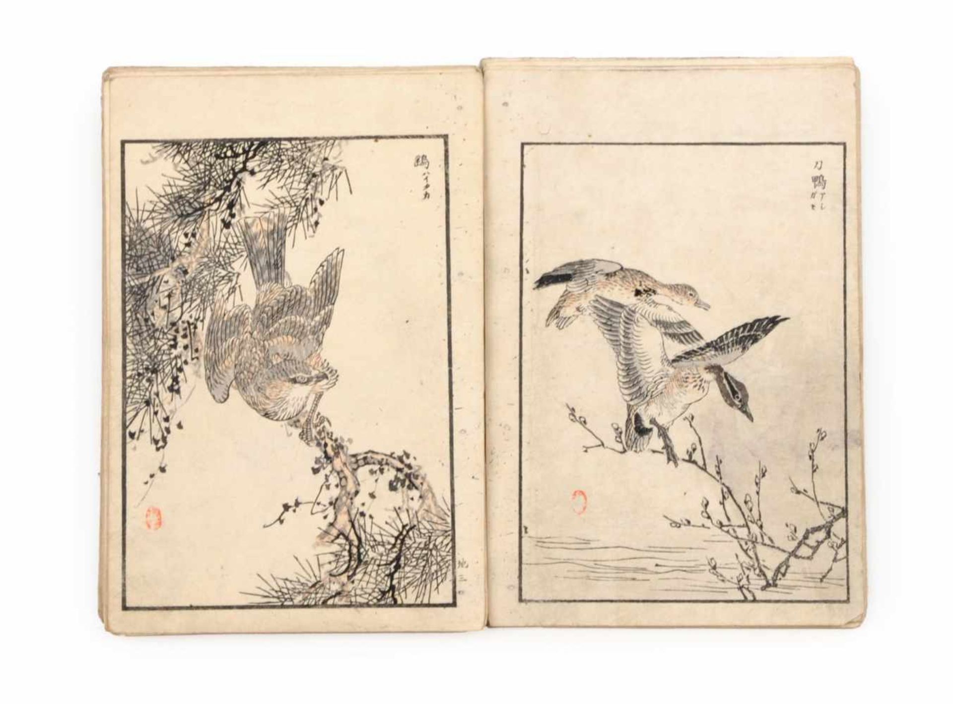 Kono Naotoyo Bairei (Yasuda Naoto) "Bairei hyakuchô gafu" ("Baireis 100 Vogelbilder-Album"). 1881/ - Bild 2 aus 11