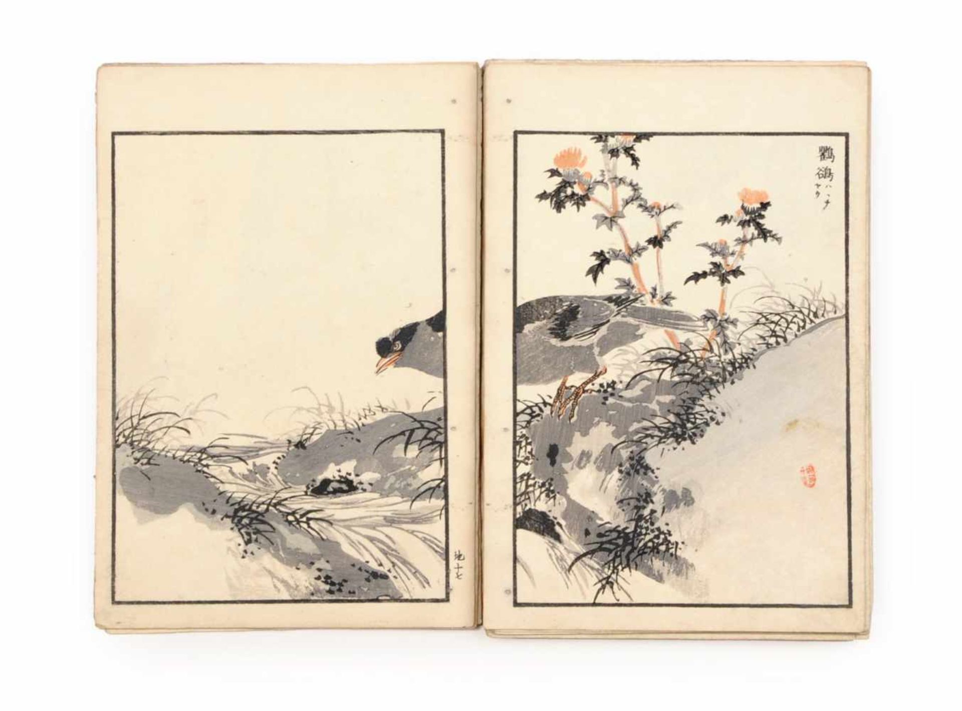 Kono Naotoyo Bairei (Yasuda Naoto) "Bairei hyakuchô gafu" ("Baireis 100 Vogelbilder-Album"). 1881/ - Bild 9 aus 11