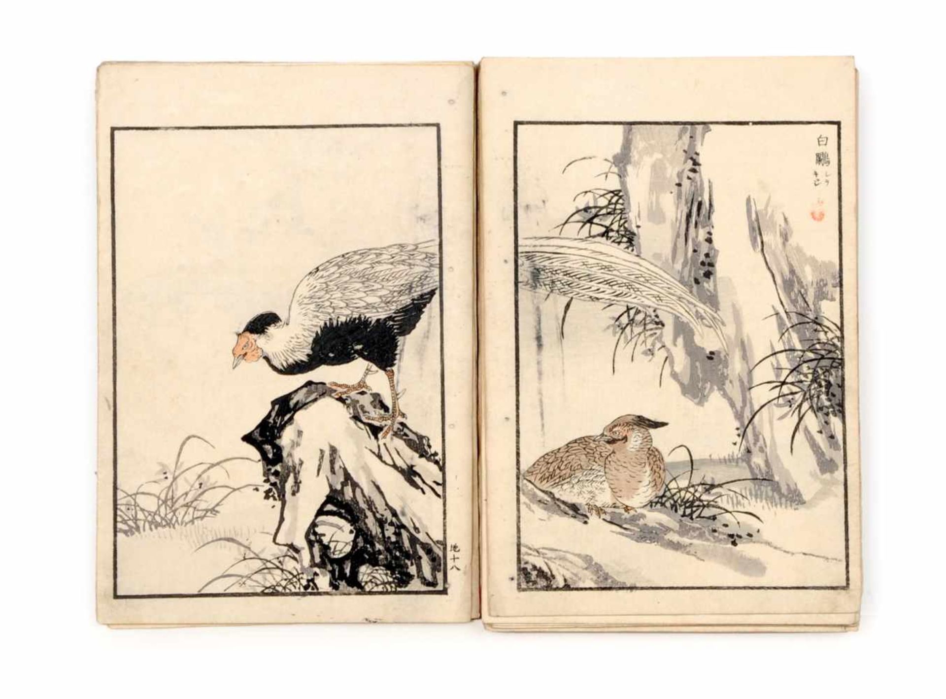 Kono Naotoyo Bairei (Yasuda Naoto) "Bairei hyakuchô gafu" ("Baireis 100 Vogelbilder-Album"). 1881/ - Bild 10 aus 11