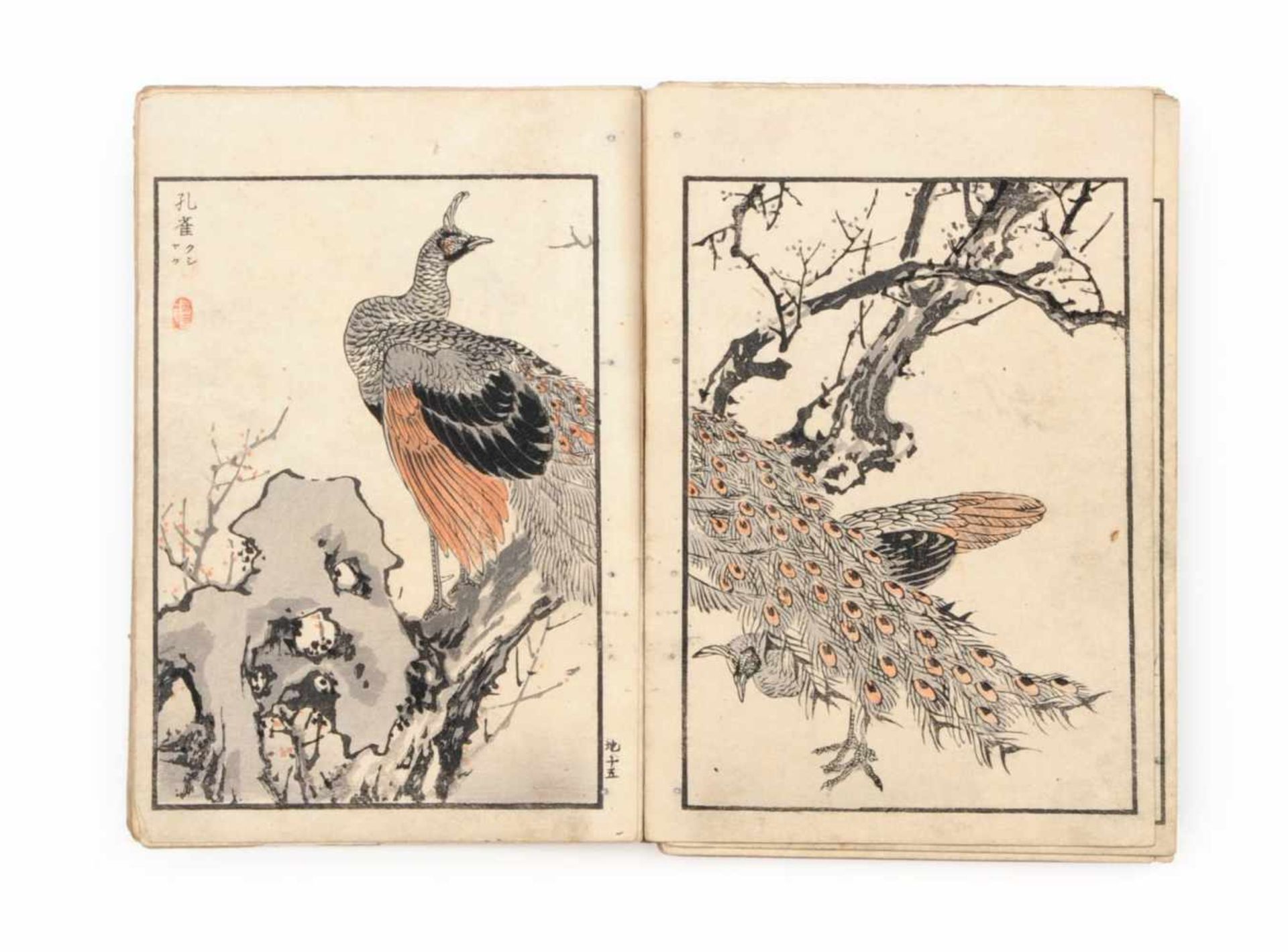 Kono Naotoyo Bairei (Yasuda Naoto) "Bairei hyakuchô gafu" ("Baireis 100 Vogelbilder-Album"). 1881/ - Bild 7 aus 11