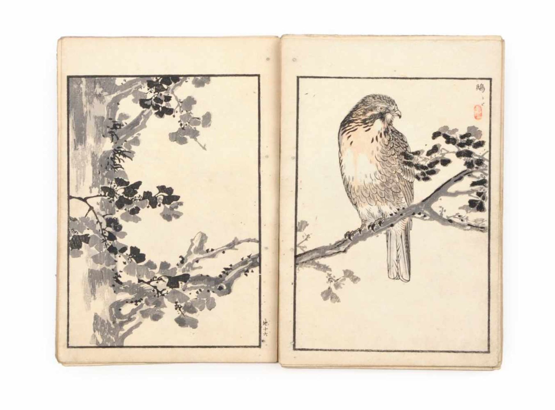 Kono Naotoyo Bairei (Yasuda Naoto) "Bairei hyakuchô gafu" ("Baireis 100 Vogelbilder-Album"). 1881/ - Bild 8 aus 11