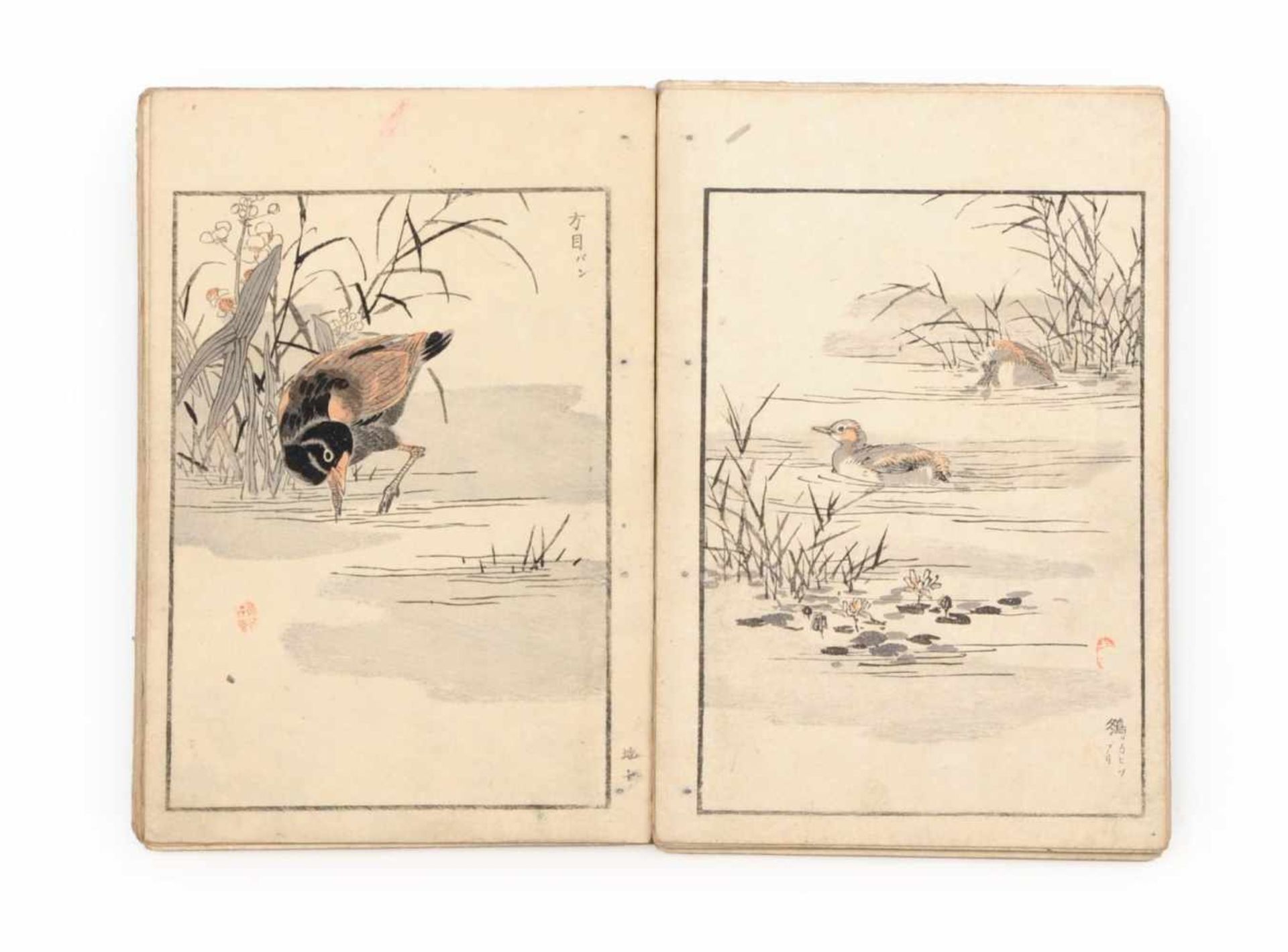 Kono Naotoyo Bairei (Yasuda Naoto) "Bairei hyakuchô gafu" ("Baireis 100 Vogelbilder-Album"). 1881/ - Bild 5 aus 11