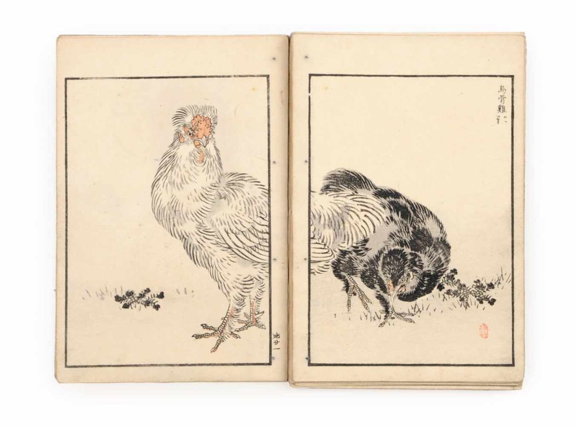 Kono Naotoyo Bairei (Yasuda Naoto) "Bairei hyakuchô gafu" ("Baireis 100 Vogelbilder-Album"). 1881/ - Bild 11 aus 11
