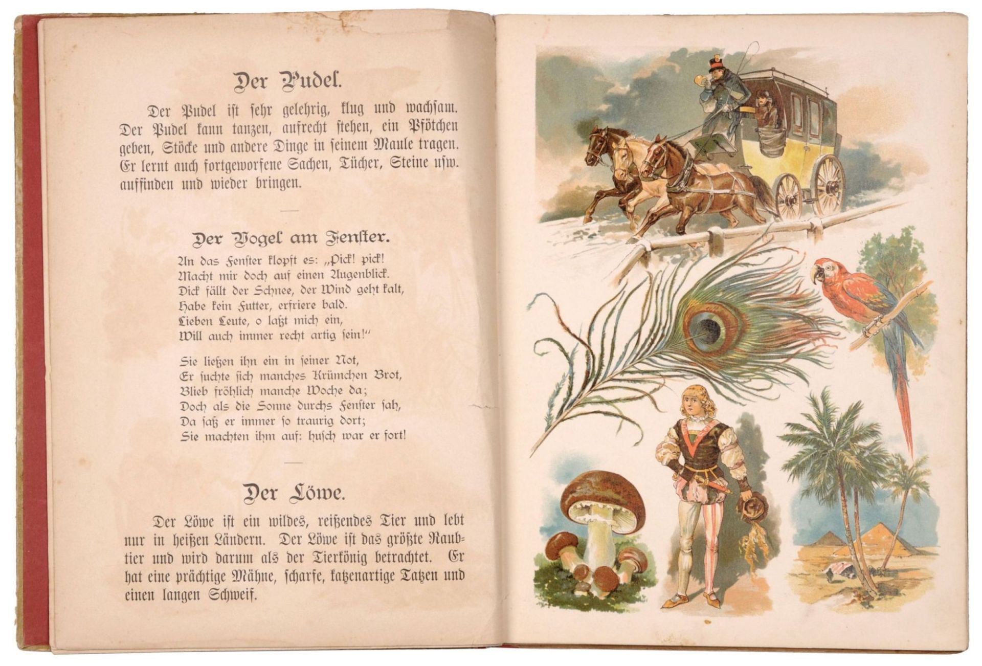 Verlag J. F. Schreiber "Der Kinder liebstes Buch". Wohl um 1900. - Bild 2 aus 13