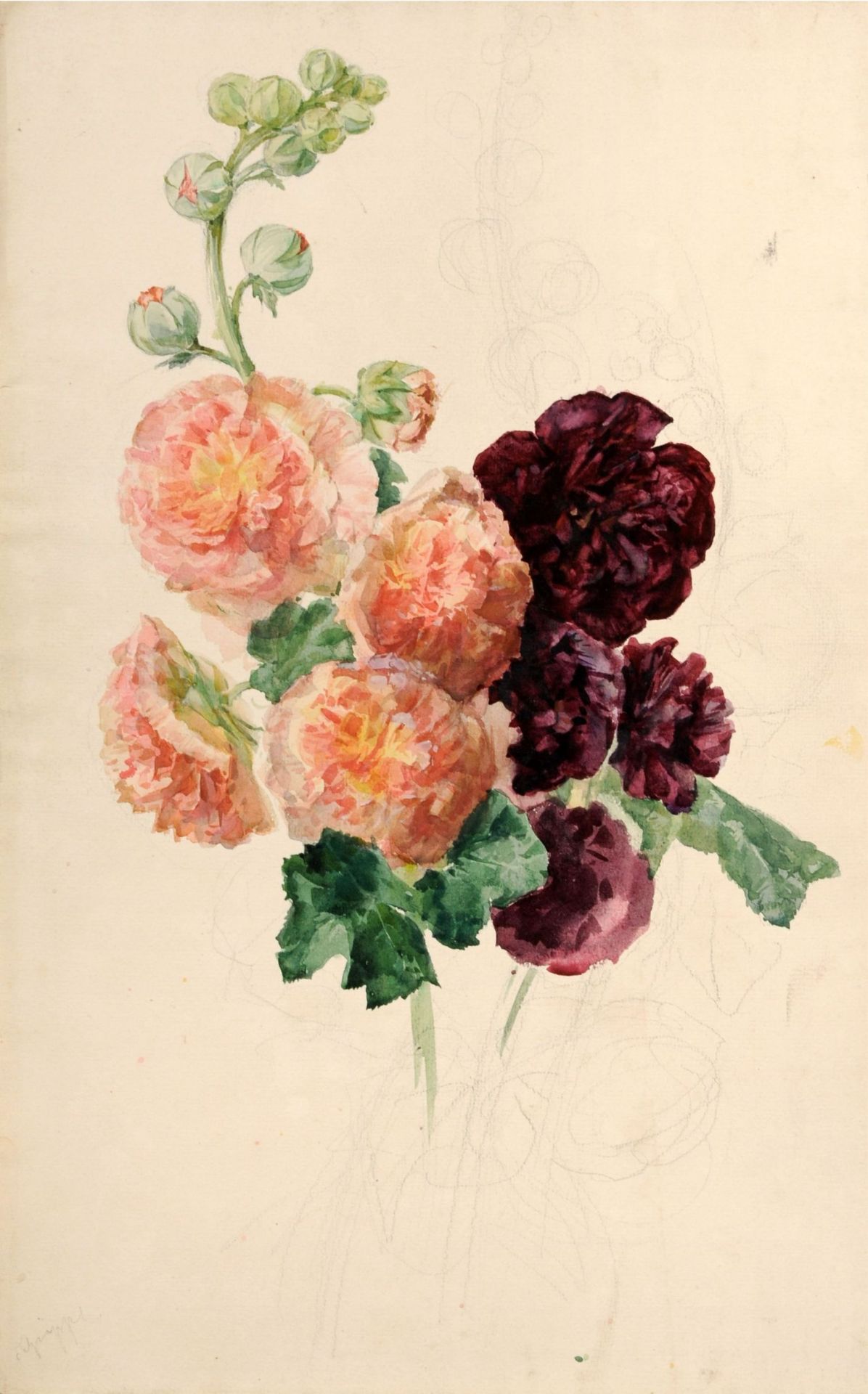 Oskar Schröder, Sechs Sommerblumenstudien. Um 1895. - Image 4 of 11