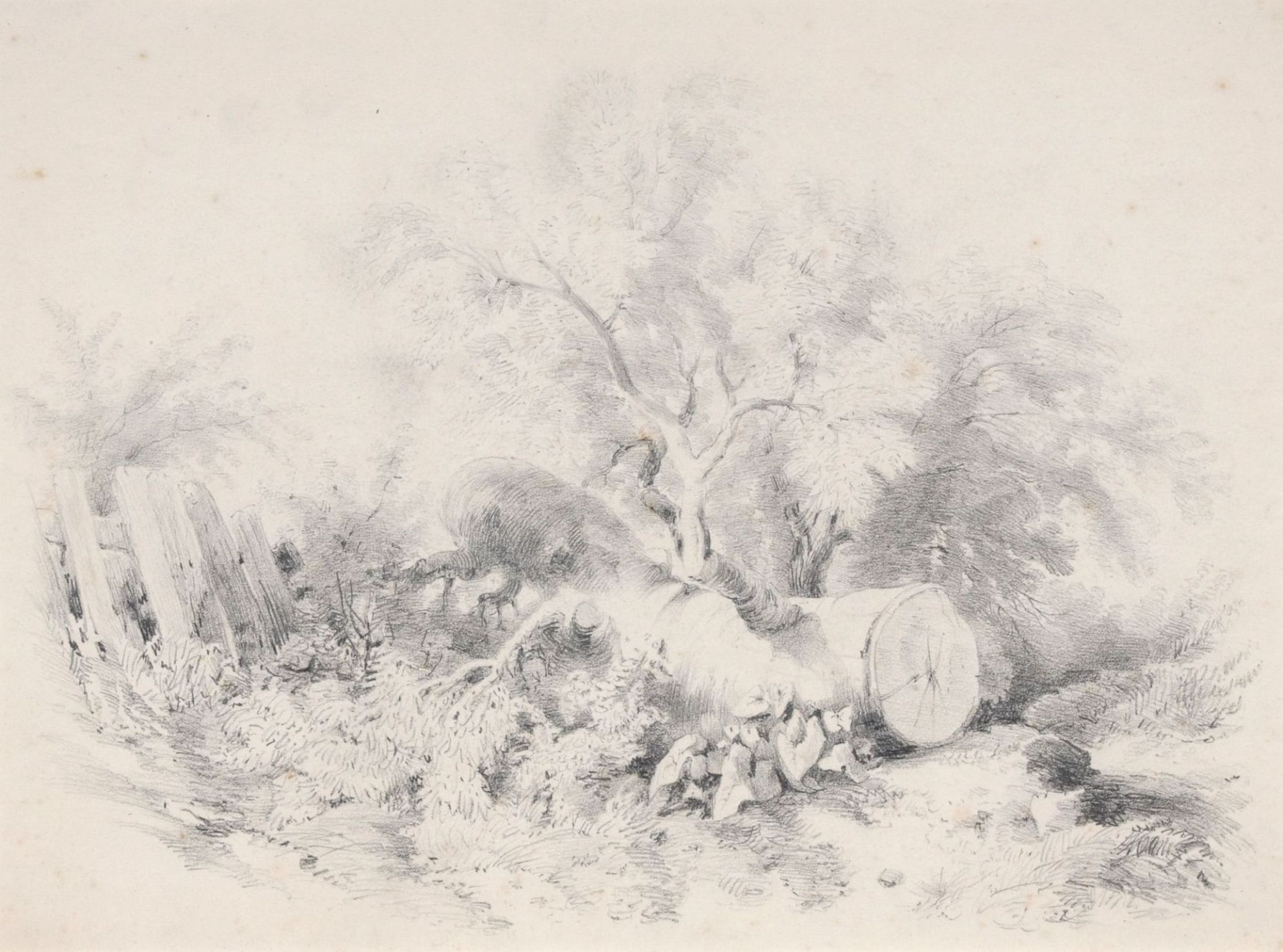 Moritz von Beckerath (zugeschr.), Zwei Baumstudien. 1869. - Bild 3 aus 3