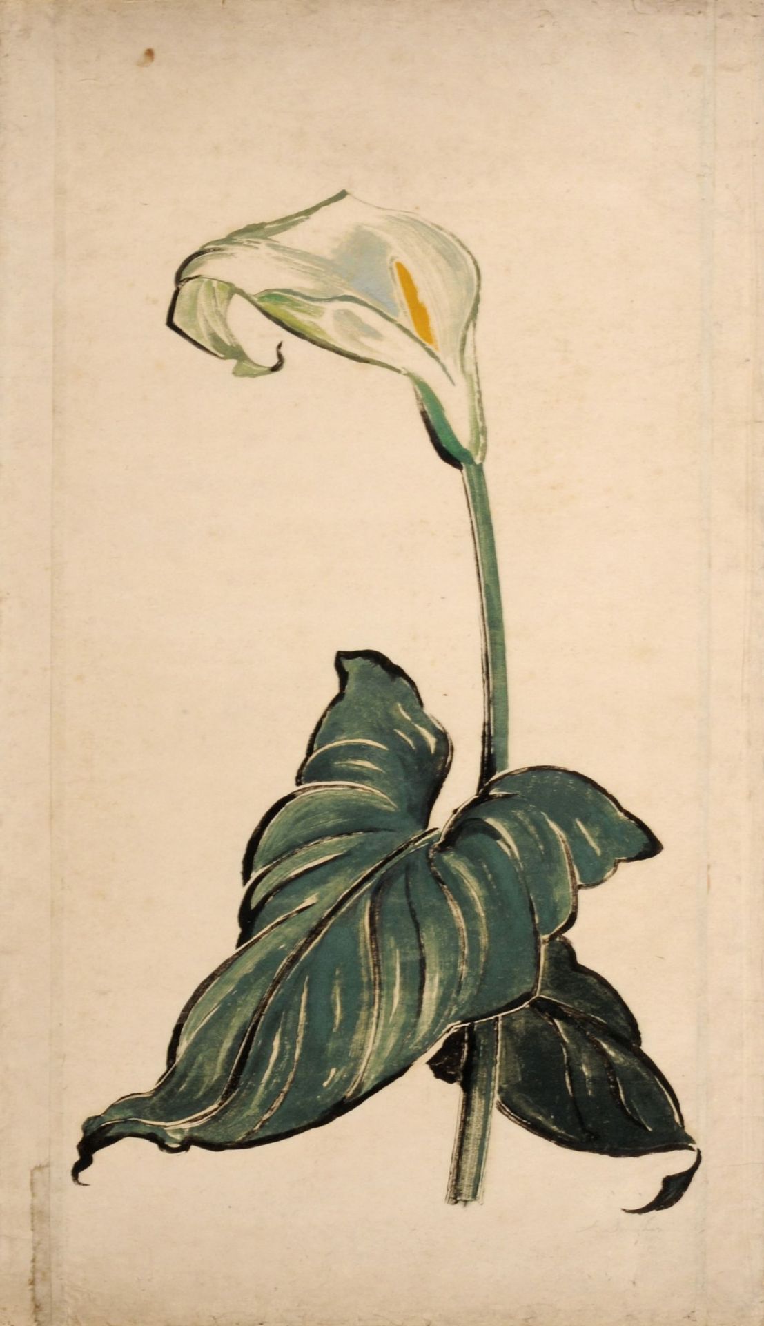 Arno Drescher, Weiße Calla. Um 1912.