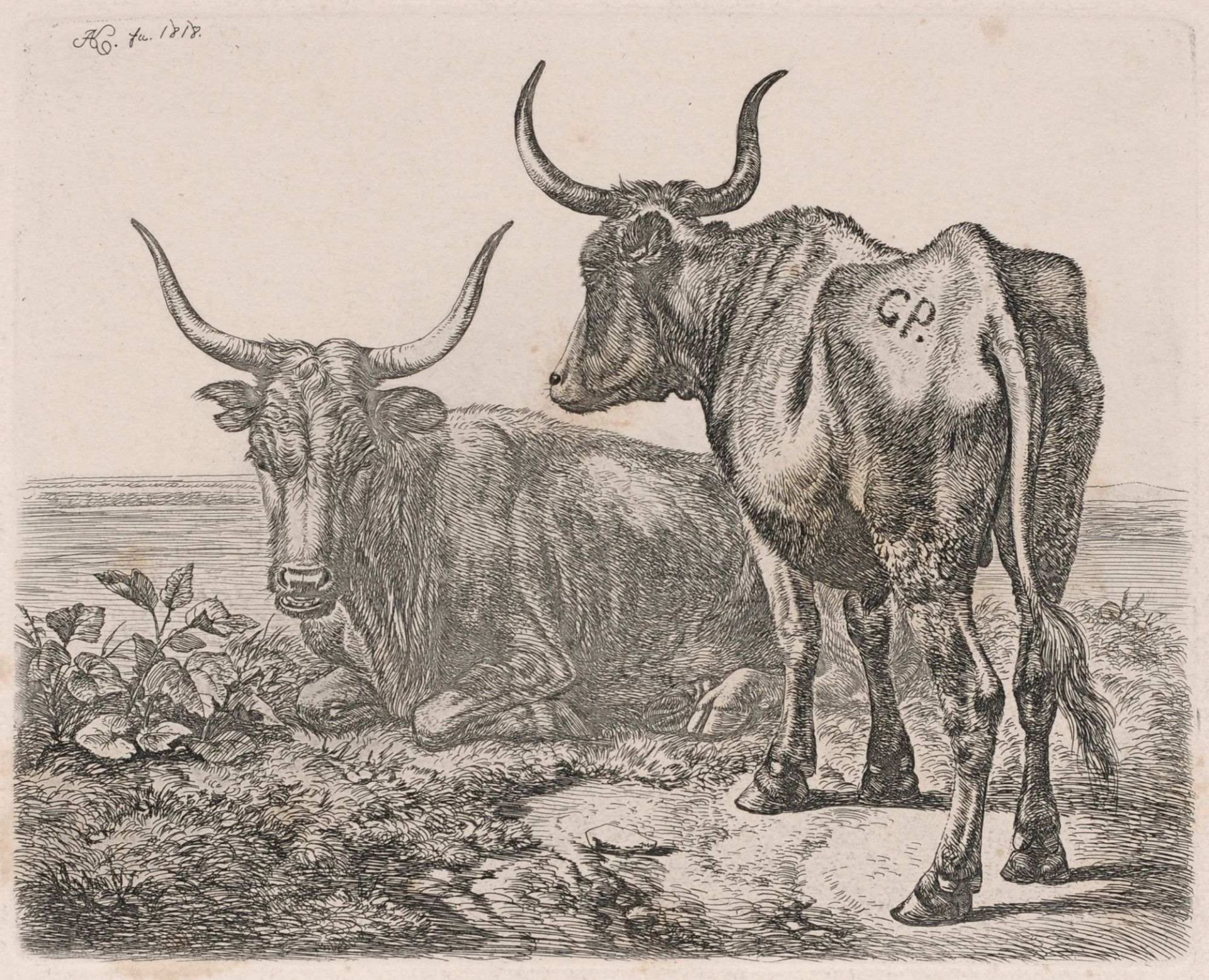 Johann Adam Klein, Sechs Tierdarstellungen. 1818 1845. - Image 2 of 6