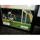 Newcastle United's Andy Cole signed photo, 11in w x 9in hgt ***Note from Auctioneer*** All items