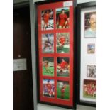 Collage of 8 Liverpool FC Legends signed photo, 20in w x 50in hgt. includes - Barnes, Case, Neal,