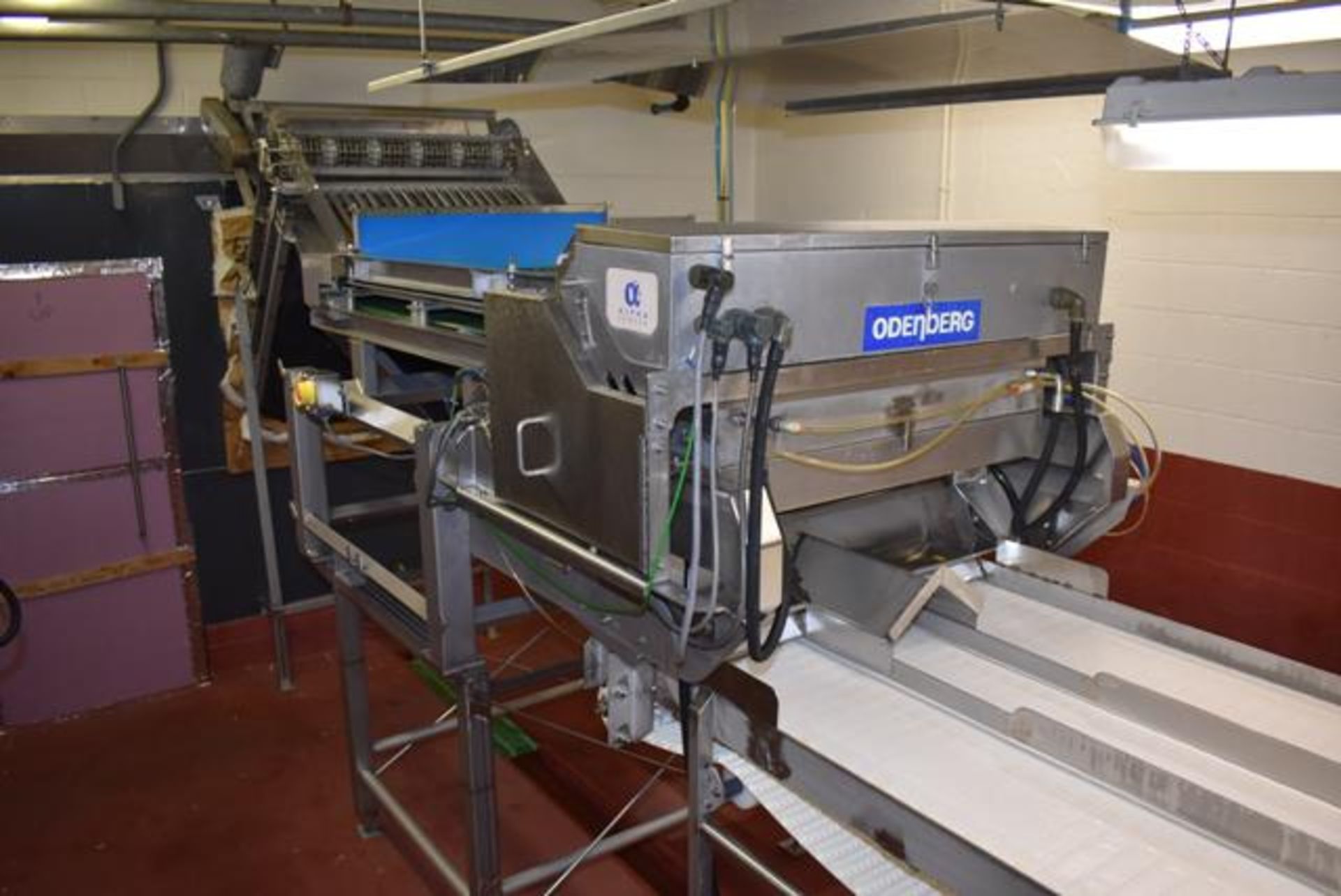 Odenberg Model Alpha, S/N AVE-4004014P Rejector, S/N ALR-4004174P, Reconditioned 2013, Color Sorter - Image 4 of 4