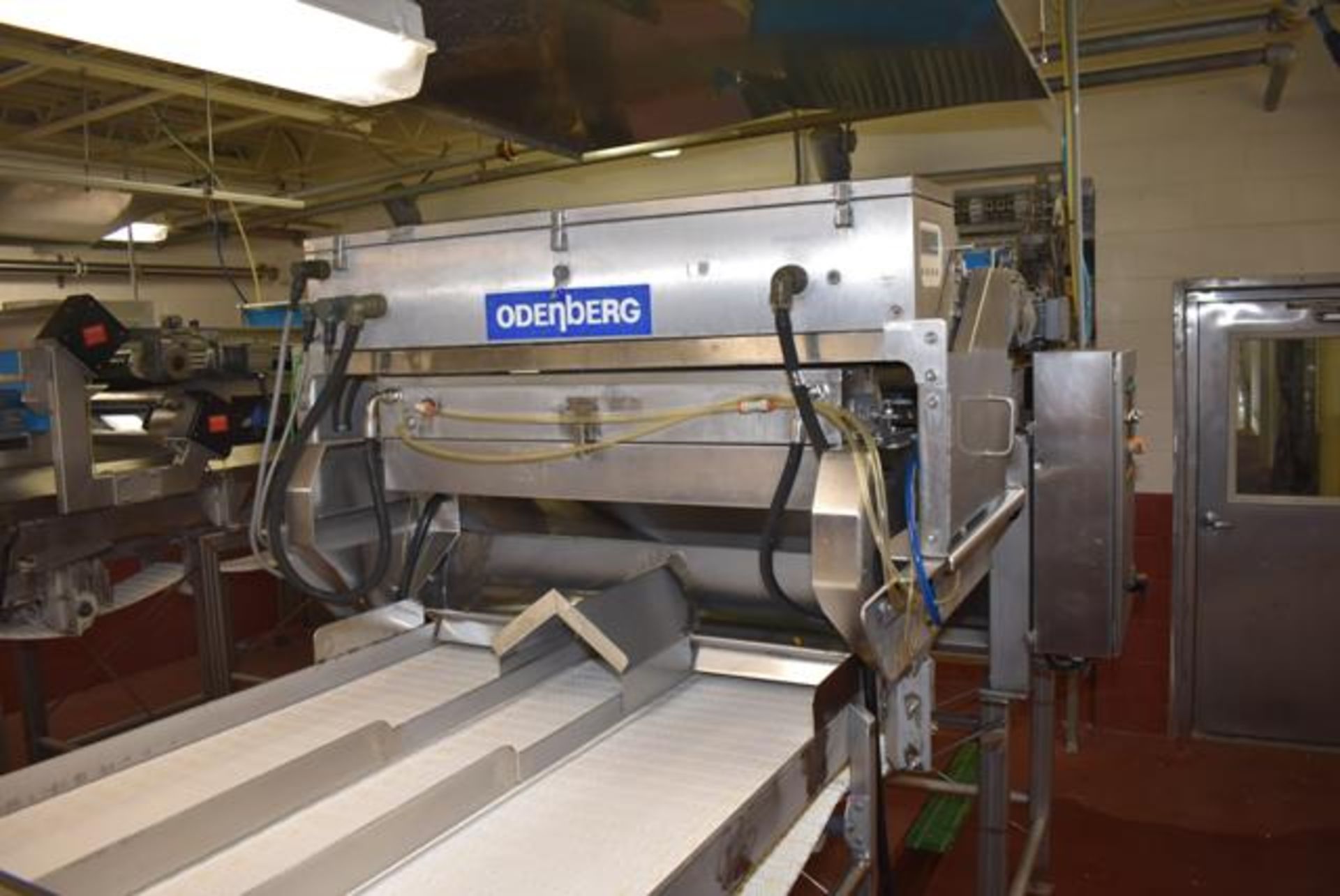 Odenberg Model Alpha, S/N AVE-4004014P Rejector, S/N ALR-4004174P, Reconditioned 2013, Color Sorter - Image 2 of 4