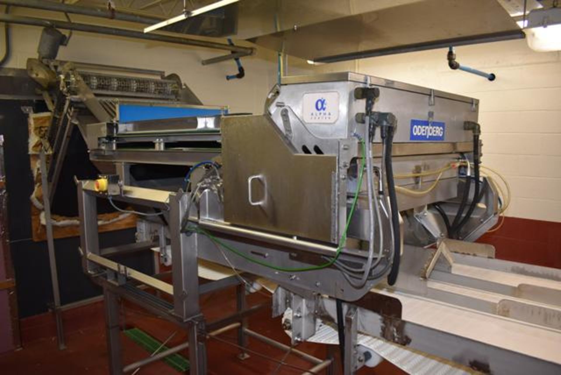 Odenberg Model Alpha, S/N AVE-4004014P Rejector, S/N ALR-4004174P, Reconditioned 2013, Color Sorter - Image 3 of 4