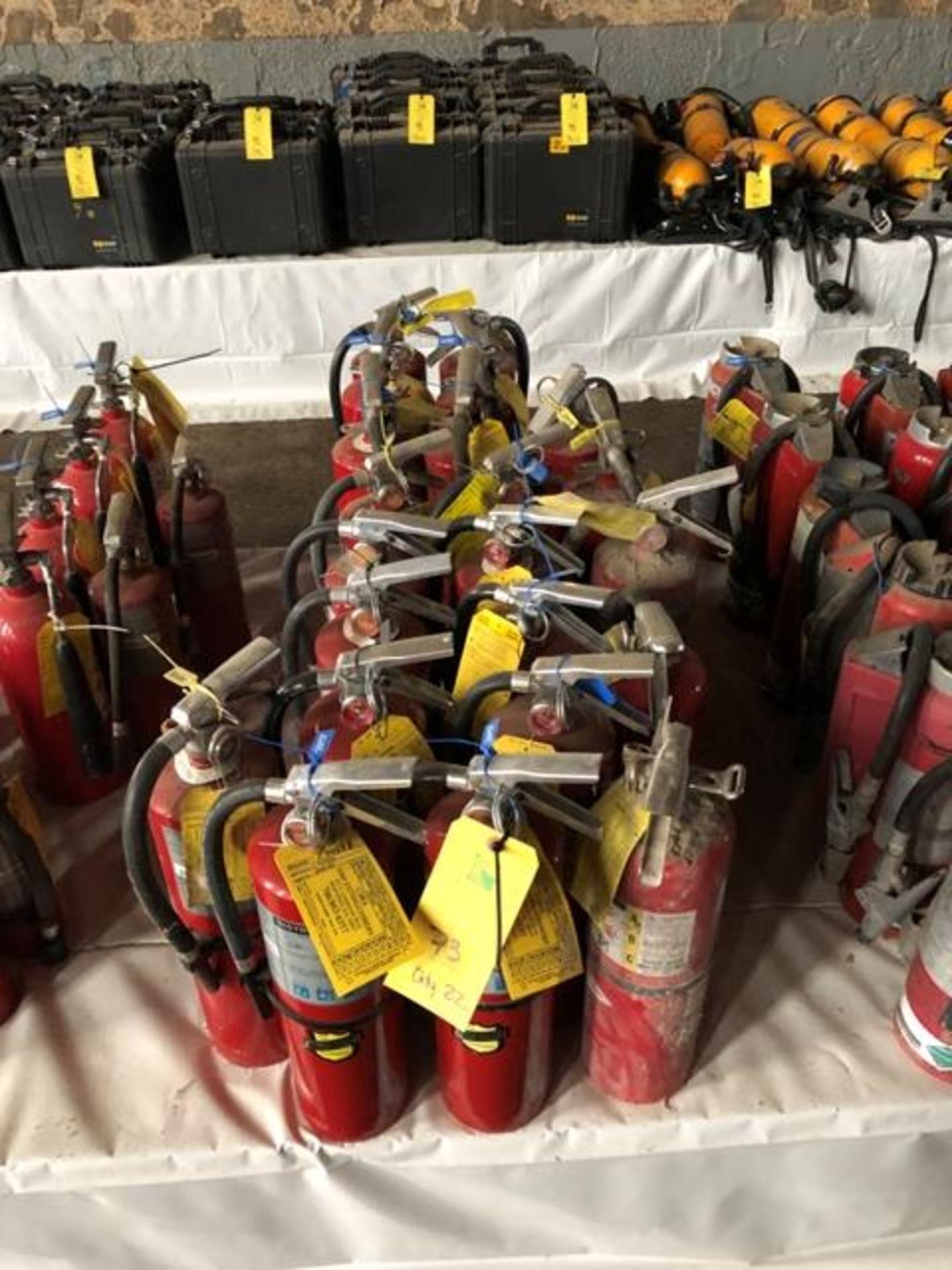 Fire Extinguisher, Qty. 22