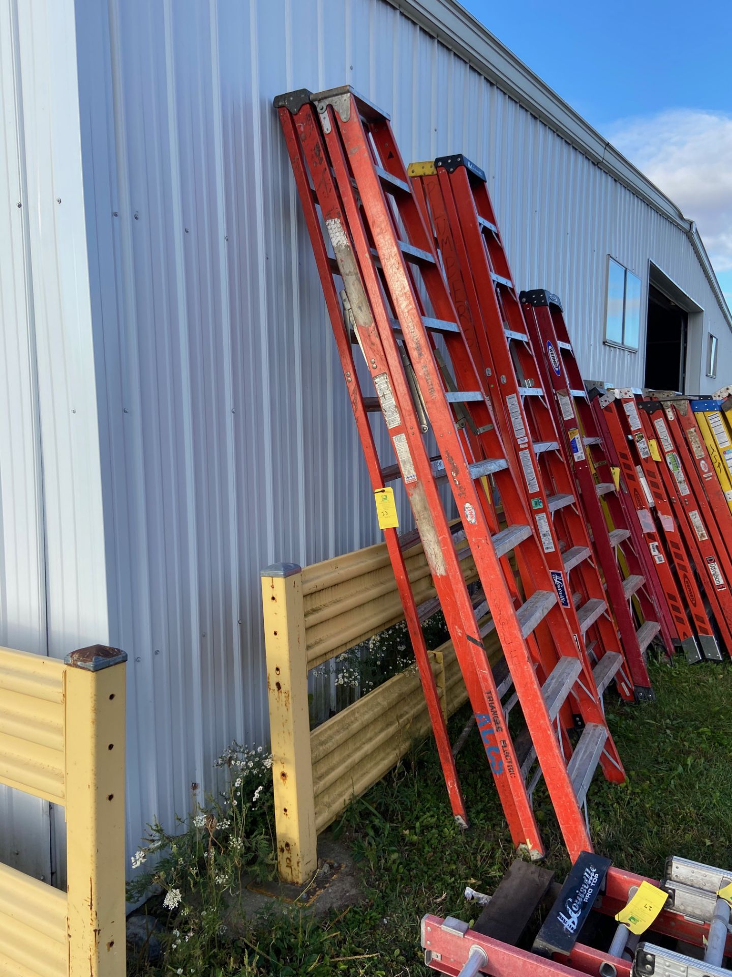 Ladder, 10', (Rigging & Loading: $25) (Located in Oelwein, IA)