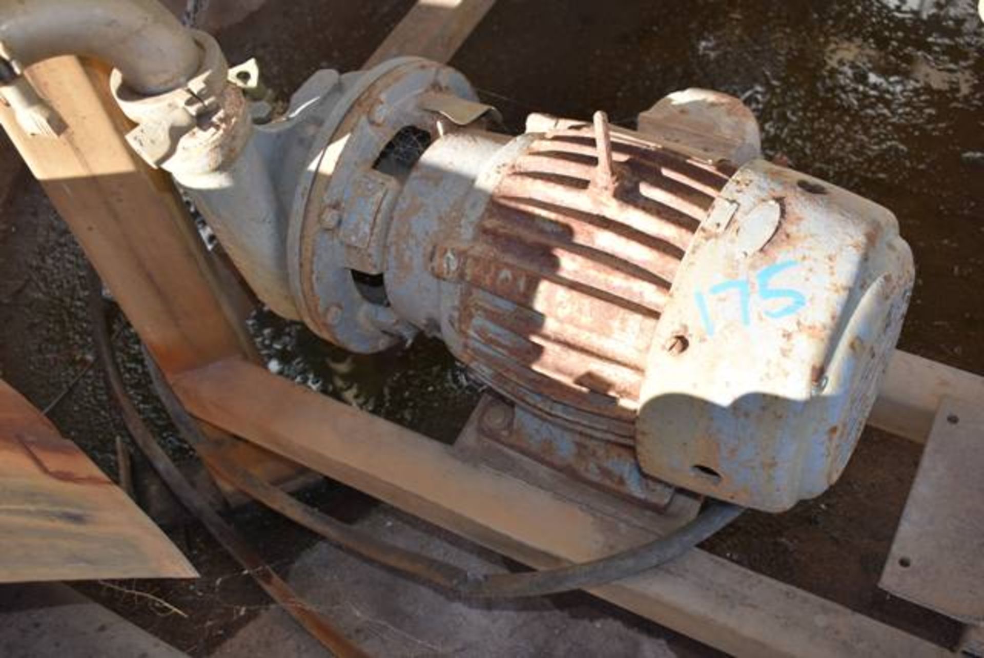 US 2 HP Motor & Pump