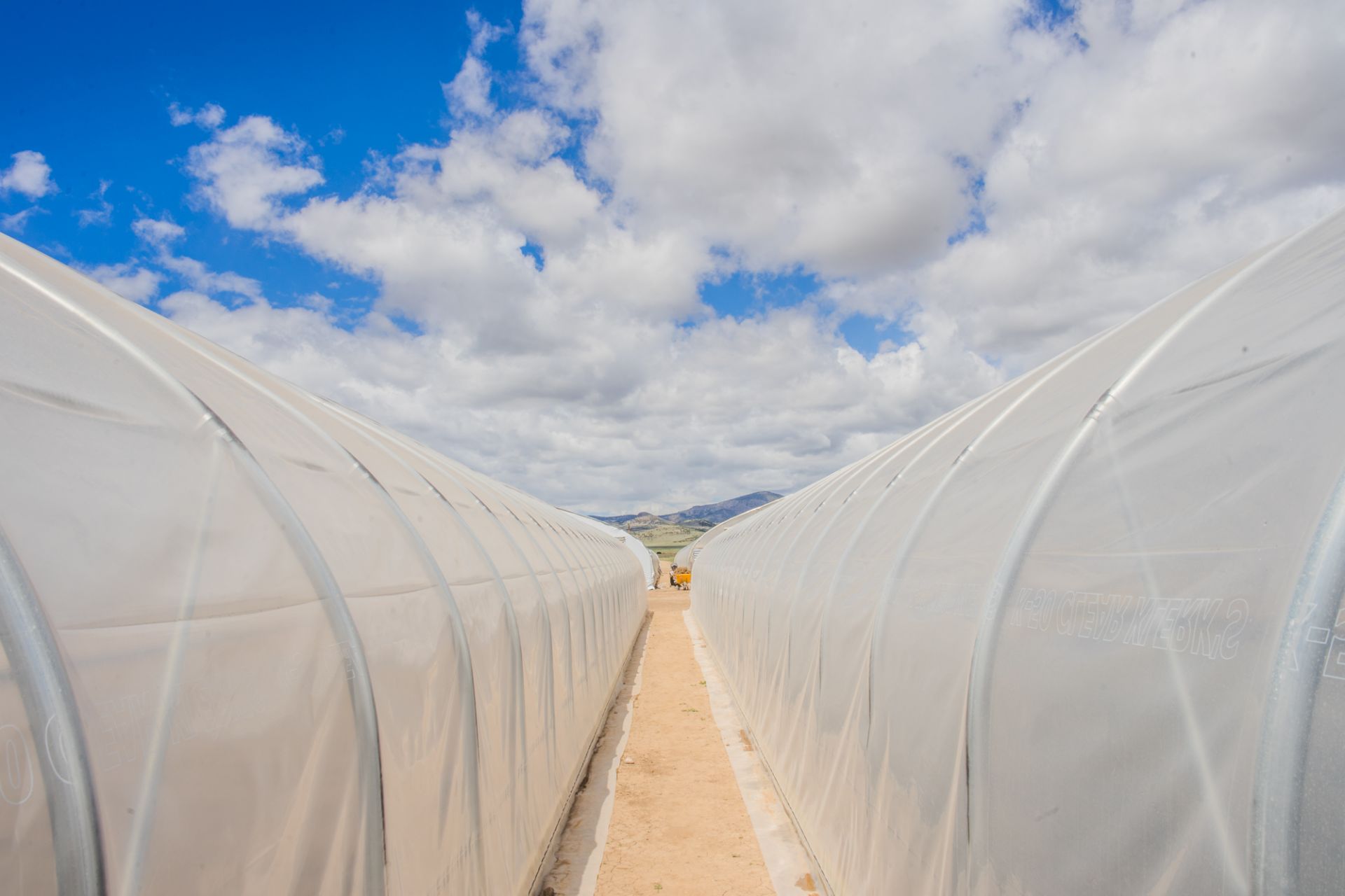 Scenic Acres Greenhouse Mfg Greenhouse w/ Four Exhaust Fans and Two Heaters, 34' x 200' gothic hoop - Image 7 of 8