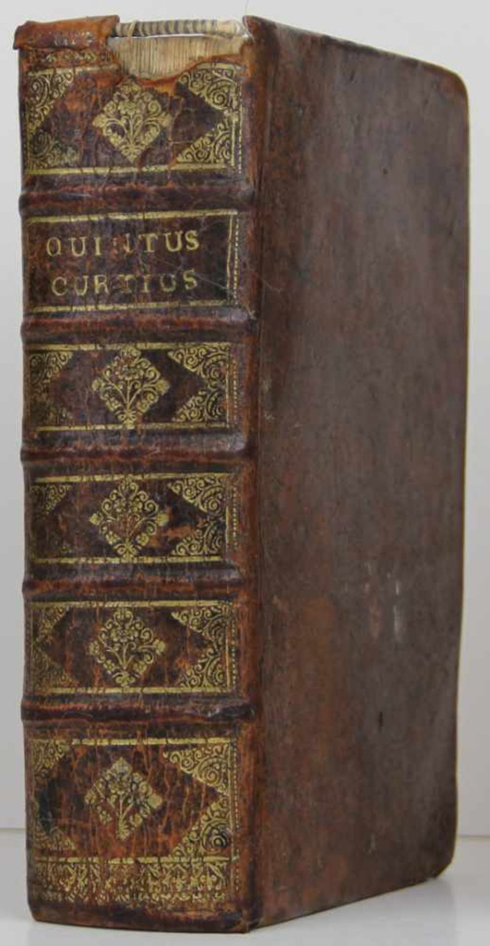 Curtius Rufus, Quintus: De rebus gestis Alexandri Magni. Cum commentariis Raderi, Salmasii,