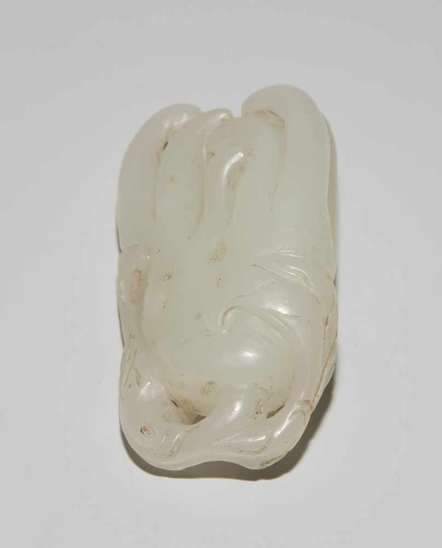 Buddha's Hand Zitrone - Bild 4 aus 9