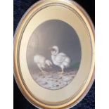 A 19th Century Oil on Board of Chicks by Coppini signed and dated LR 1875. 29 L x 22 W cm.