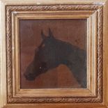 A 19th Century Watercolour of a horse head, 10 x 10 cms.