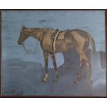 A 19th Century Watercolour of a horse by J. M. Emms signed and dated LL. 73 x 54.5cm.