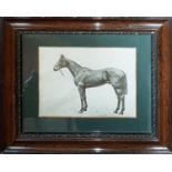 A good set of four 19th Century - early 20th Century Photographs of horses.