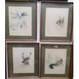 A set of four Coloured Prints of Animals. 24 x 30 cms.