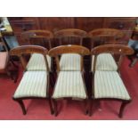 A superb set of six William 1Vth Mahogany Dining Chairs with carved backs on sabre front supports.