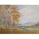 A mid 20th Century Watercolour of an Autumnal scene by W R Newman. Signed LR. 36 x 26 cms.