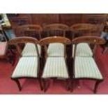 A superb set of six William 1Vth Mahogany Dining Chairs with carved backs on sabre front supports.