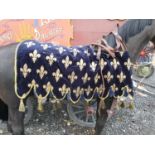 A large quantity of Horse Blankets used in a specific award winning show.