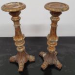 Two Gold Prickett Stands.41h cms.