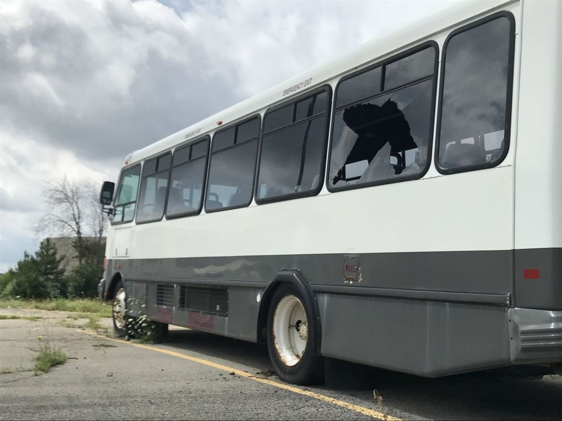 2006 ELDORADO/FREIGHTLINER MODEL MB55/FCBUS, 28 SEAT PASSENGER BUS - Image 8 of 10