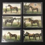SIX UNUSED HORSES PICTORIAL POSTCARD POSTCARDS BY B & D LONDON - KROMO SERIES PRINTED IN SAXONY