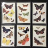 RAPHAEL TUCK BUTTERFLIES ON THE WING SERIES I NUMBER 3390 COMPLETE SET OF SIX POSTCARDS