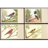 SIXTEEN VINTAGE POSTCARDS OF BIRDS BY N.V.P. SLUIS’ BIRDFOOD WEESP. HOLLAND