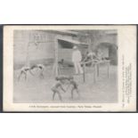 THE MISSION TO LEPERS IN INDIA AND THE EAST USED POSTCARD LITTLE GYMNASTS TARN TARAN PUNJAB