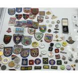 COLLECTION OF VARIOUS OF PATCHES & BADGES