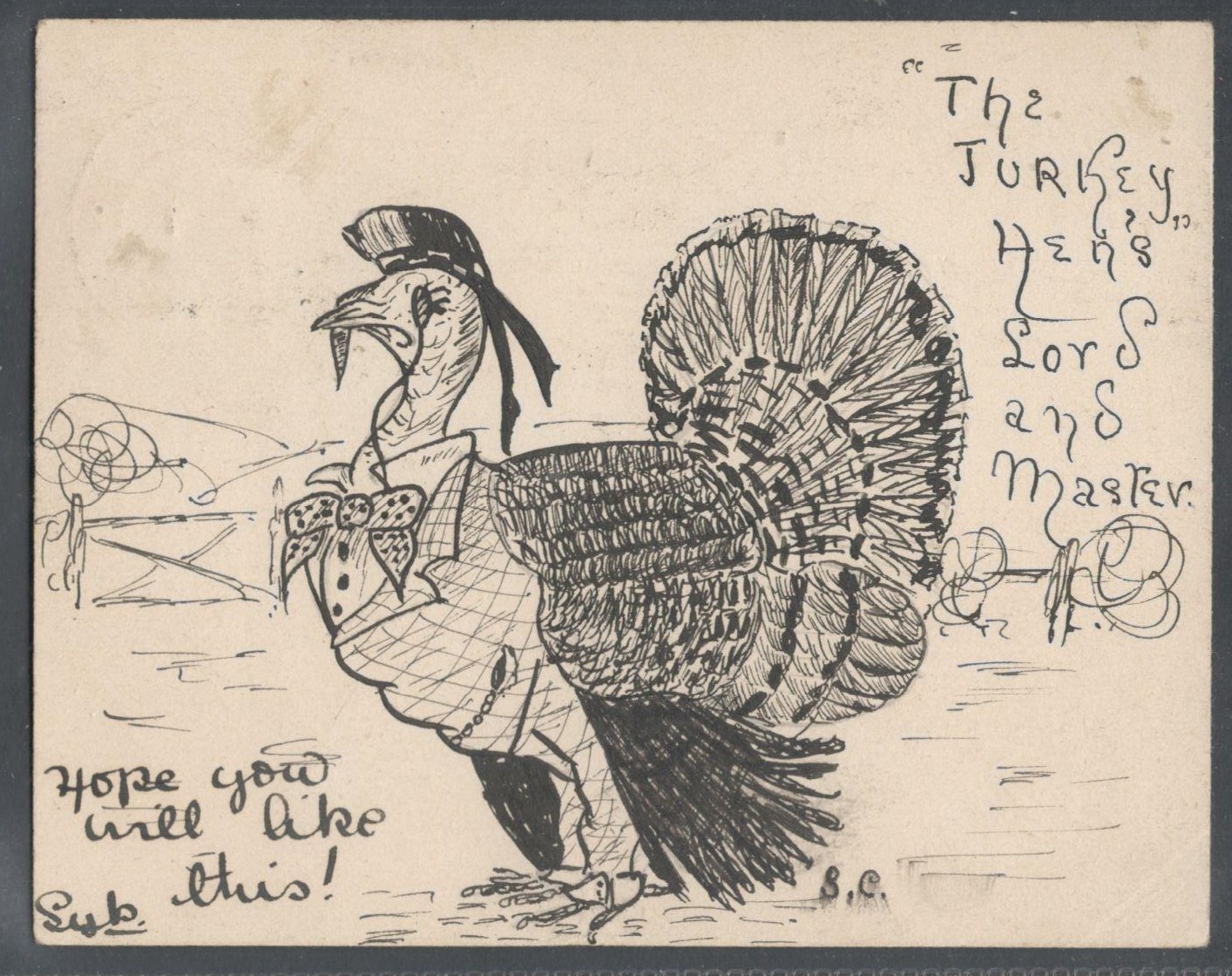ANTIQUE SMALL POSTED POSTCARDS WITH HAND DRAWN SKETCH OF TURKEY