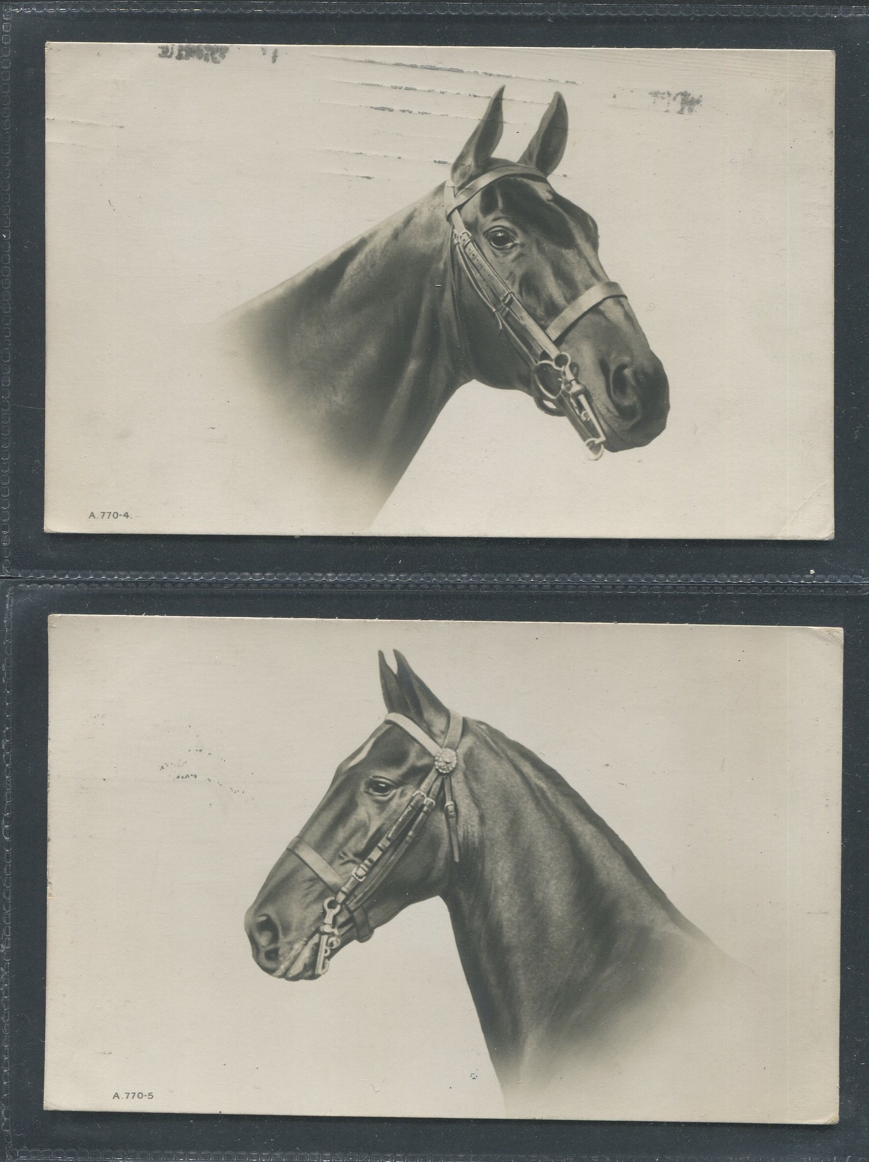 TWO POSTED VINTAGE POSTCARDS SHOWING HORSES