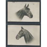 TWO POSTED VINTAGE POSTCARDS SHOWING HORSES