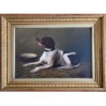 19th Century English School. Oil on canvas. “Spaniel Type Dog with Bowl”. Signed Mabel Gourley 1889