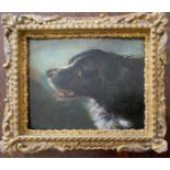 Attributed to Edwin Landseer 1802-1873. British. Oil on board. “Portrait Study of a Dog”.