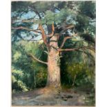 Arthur John Elsley 1861-1952. British. Oil on canvas laid to board. “Study of a Tall Tree”.