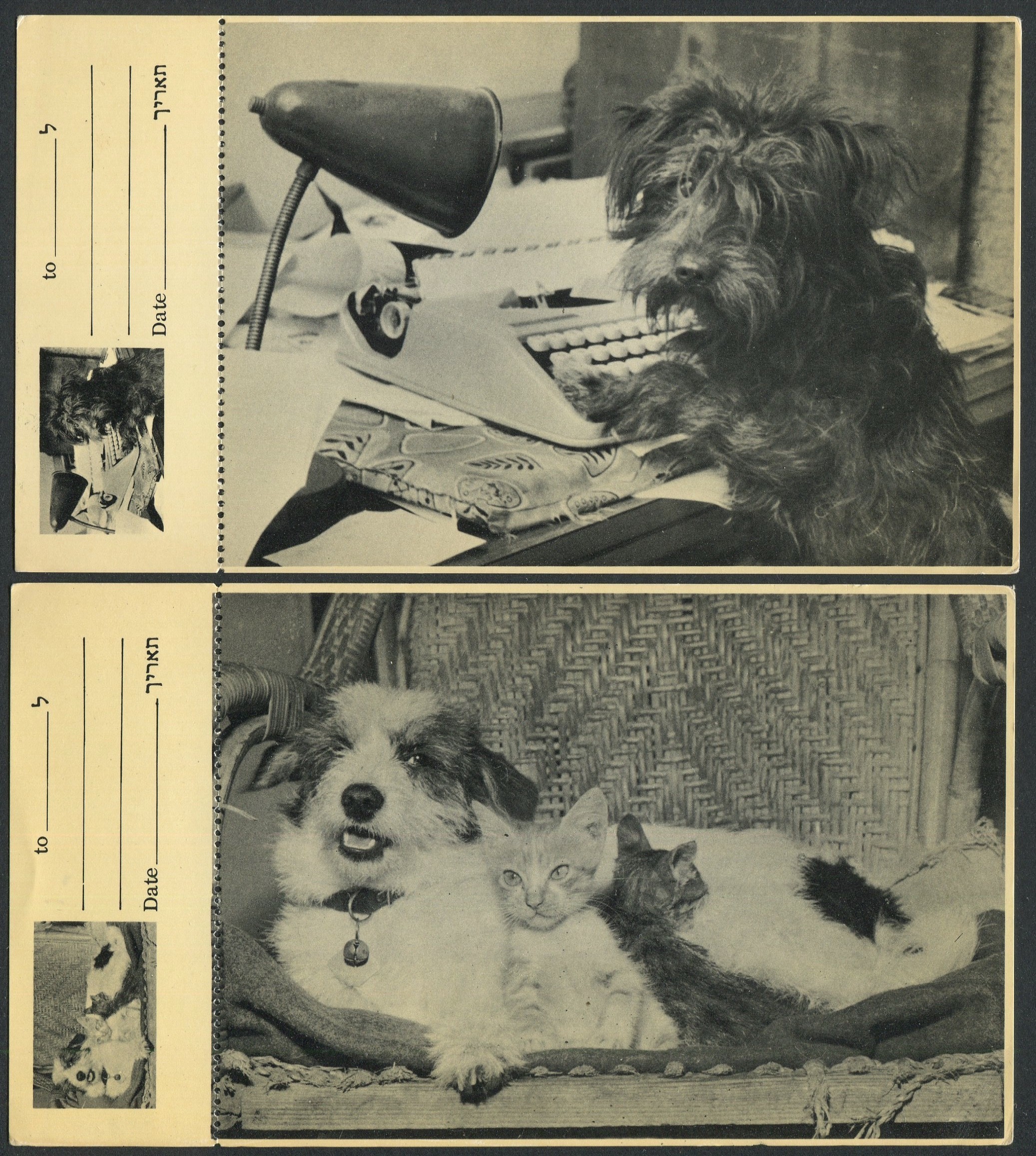 TWO VINTAGE ISRAELI POSTCARDS WITH COUPONS- DOGS AND CATS