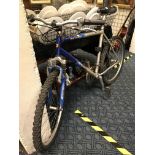 RADFORD MOUNTAIN BIKE