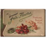 FAIR FLOWERS POSTCARD PAINTING BOOK BY RAPHAEL TUCK & SONS