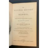 1854 THE NATURAL HISTORY