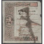 UNUSUAL LARGE PAPER DUTY (?) REVENUE STAMP / LABEL